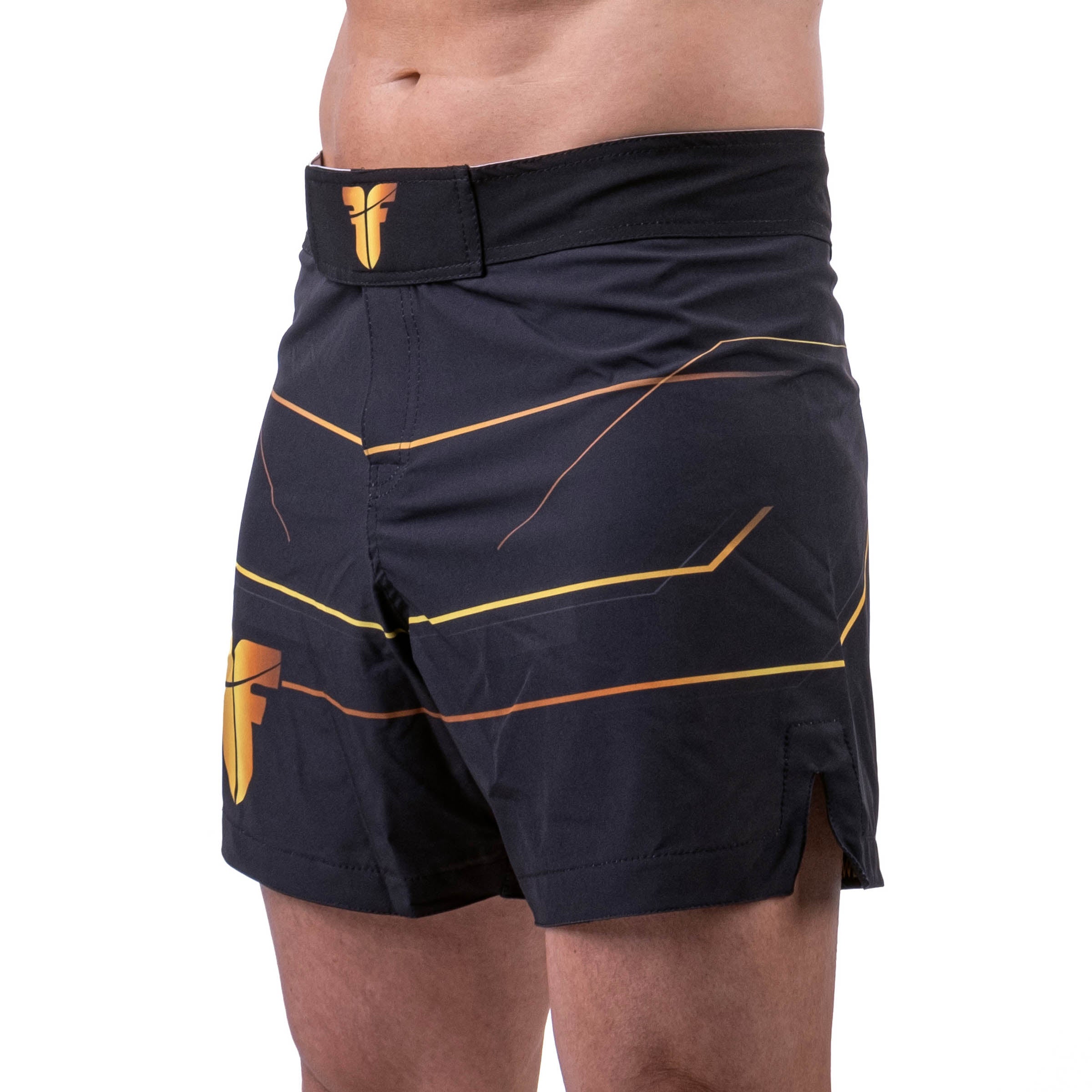 Fighter MMA Shorts Lines Gold - black/gold, FMMAS-LN-0212